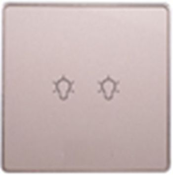 智能壁開關（WS-ZSWSG2）