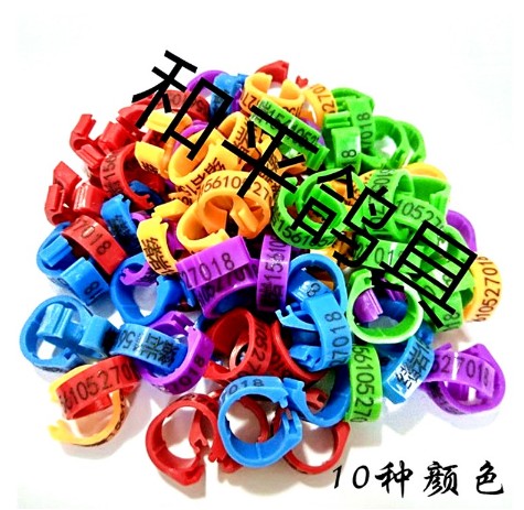 prod_dave ring_1
