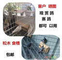 prod_Feed box_4