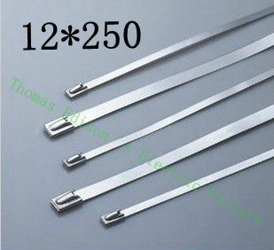 高質量100pcs 12mmx250mm自鎖自鎖不銹鋼拉鍊拉鍊拉鍊領帶包裹