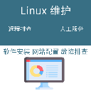 linux問題解決 資料庫維護環境搭建系統排查網站修復人工遠端服務