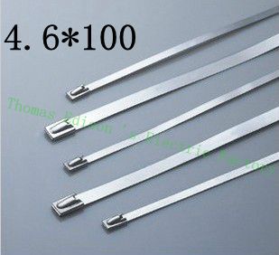 [2024721700-TW] 高質量100pcs 4.6mmx100mm自鎖不銹鋼拉鍊拉鍊拉鍊領帶包裹