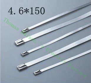 [2024726726-TW] 高質量100pcs 4.6mmx150mm自鎖不銹鋼拉鍊電纜領帶鎖定包裹