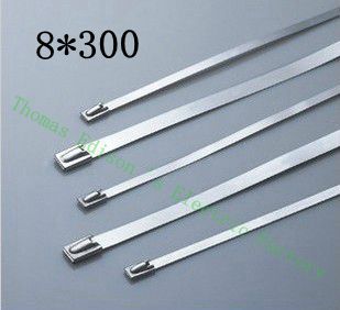 [2024736836-TW] 高質量100pcs 8mmx300mm自鎖不銹鋼拉鍊拉鍊拉鍊領帶包裹