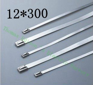 [2024787672-TW] 高質量100pcs 12mmx300mm自鎖不銹鋼拉鍊拉鍊拉鍊領帶包裹