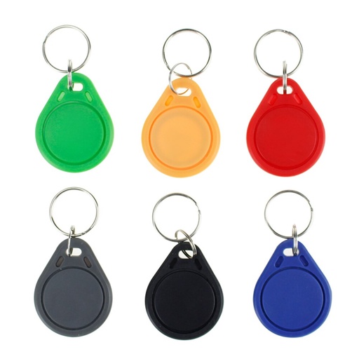 [32819548164-TW] 100pcs 13.56MHz RFID鑰匙串密鑰FOB MF MF 1K IC NFC KEYFOBS接近智能門AC的鑰匙標籤卡