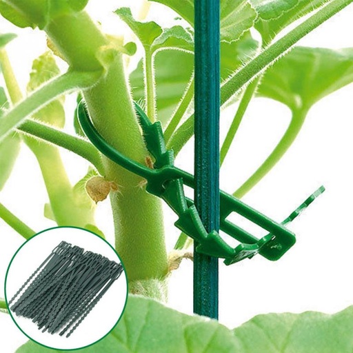 [32873452276-TW] 50pcs/袋50X可重複使用的花園塑料植物電纜紮帶可調式樹木支撐花園