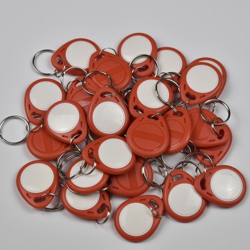 [32881579692-TW] 50pcs T5577 EM4305複製可重寫的寫作重寫副本RFID標籤可以復制EM4100 125KHz卡P P
