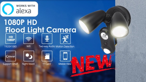 [camera-Watch-1-TW] AI泛光燈攝像機觀看和明亮您的聰明