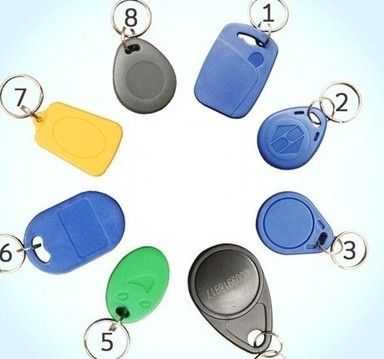 [DJ125RWKEYRING-Tw-TW] 如圖說明標籤低頻高頻超高頻RFID電子ABS匙扣卡專業廠家直銷(100入)